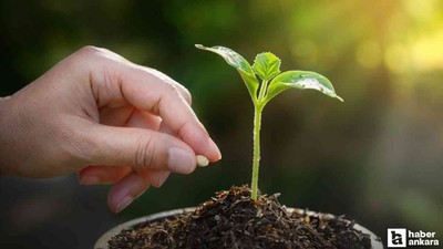 Sincan Belediyesi'nden çiftçilere tohum desteği!