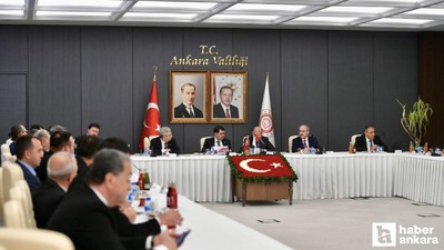 Ankara en fazla sahipsiz sokak hayvanının toplandığı il oldu