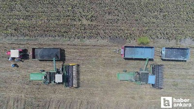 Çiftçilere 2 milyar 834 milyon TL'lik destekleme ödemesi yatırılacak