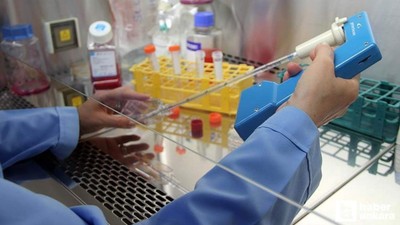 Kanserin kesin çaresi kekik yağı mı? Fareler üzerinde deneyler başladı