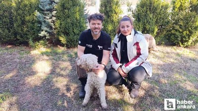 Nallıhan'da mantar çeşitliliği proje kapsamında kayıt altında