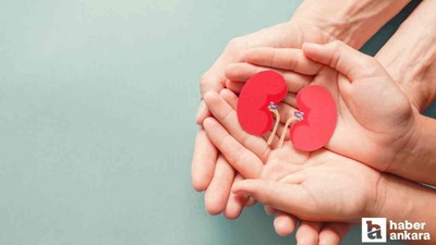 Sincan Belediyesi'nden Organ Bağışı haftasına ilişkin seminer duyurusu