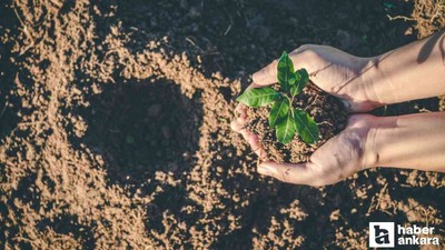 Tüm okullarda Atatürk'ü Anma Günü ile Milli Ağaçlandırma Günü'nde fidan dikimi yapılacak