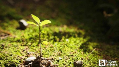 Başkentte, BIOFIN Projesi'nin tanıtımı yapıldı