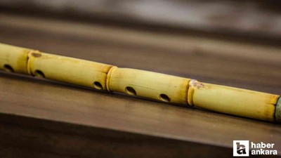 ABB, ney kursu kayıtlarının başladığını duyurdu