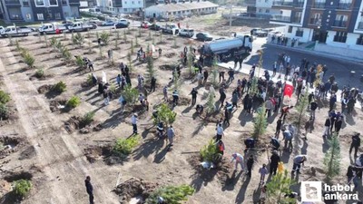 Sincan'da 244 fidan toprakla buluştu!