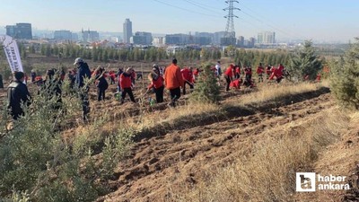 Ankara'da Akut Şehitleri anısına 3 hatıra ormanı