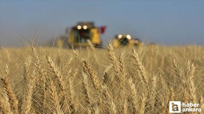 Tarım ÜFE verileri ekim ayında artış gösterdi