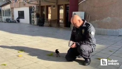 Ankara'da görevli polis memuru ile kuşun dostluğu yürekleri ısıttı