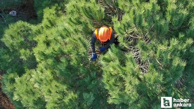 OGM bünyesine 496 sözleşmeli personel alımı yapılacak!