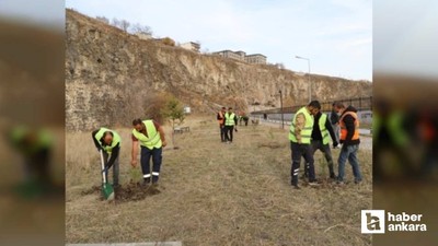 Ankara'ya '8 Kasım Karabağ Zaferi Hatıra Ormanı'