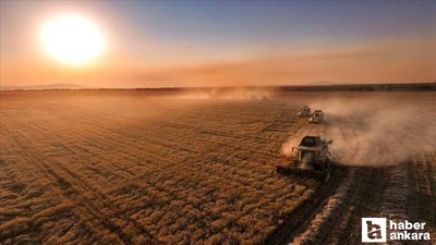 Çiftçilere 330 milyon TL'den fazla tarımsal destek ödemesi yatırılacak