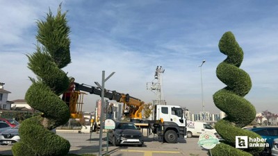 Etimesgut'ta ilçe genelinde budama ve kesim çalışması yapıldı