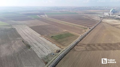 Polatlı'da şeker pancarı hasadı tüm hızıyla devam ediyor