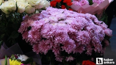 Başkentte Öğretmenler Günü için Kasımpatı tercih edildi