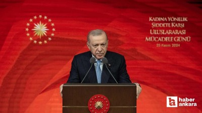 Erdoğan: 'Kadına ve çocuğa karşı şiddet insanlığa ihanettir'