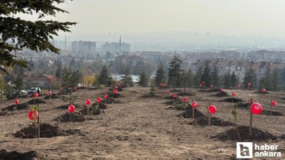 Sincan Belediyesi'nden kadına yönelik şiddete karşı farkındalık etkinliği!