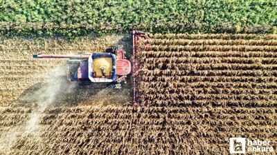 Başkentte yağışlar tarımsal faaliyetler için beklentiyi karşıladı