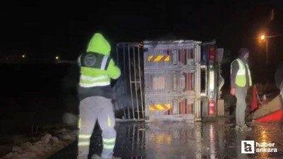 Polatlı'da devrilen kamyonda küçükbaş hayvanlar telef oldu