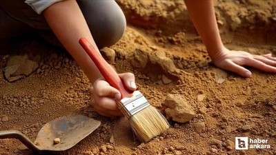 Çin'de dinozorların 200 milyon yıllık ayak izleri keşfedildi