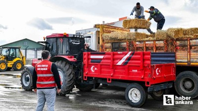 Ankara Büyükşehir Belediyesi'nden ücretsiz kaba yem desteği!