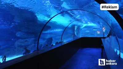 Ankara'nın okyanusa açılan tüneli: İçinde gezilen dev akyaryum