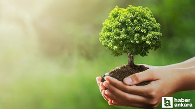 OGM, bugüne kadar başkentte 320 okulun bahçesine fidan dikimi gerçekleştirdi