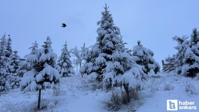 Van’da yoğun kar yağışı: Ankara uçak seferleri rötar yaptı