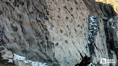 İtalya'da 200 milyon yıllık dinozor ayak izleri bulundu