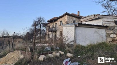 Haymana'da köpek çocuklara saldırdı: 1 çocuk ağır yaralandı