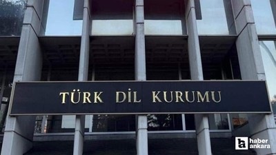 2025 yılının kelimesini seçmek için halk oylaması başlatıldı