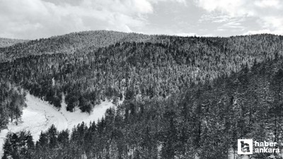 Kızılcahamam, Çubuk ve Çamlıdere'de yaylalar beyaza büründü