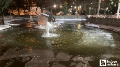 Başkent -11 dereceyi gördü: Kuğulu Park'taki havuzun yüzeyi buz tuttu!