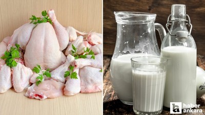 Yıllık bazda tavuk eti üretimi arttı, inek sütü üretimi azaldı!