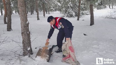 Yozgat'ta jandarma ekipleri, hayvanlar için doğaya yem bıraktı
