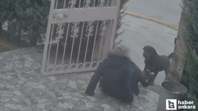 Elmadağ'da sahipsiz köpeklerin saldırdığı kadını komşusu kurtardı