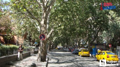 Kızılay’ın Sessiz Yüzü Kumrular Sokak