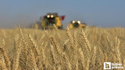 TMO, stoklanan yem ham maddesini satışa sunulacak