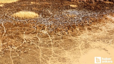 Prof. Dr. Mikdat Kadıoğlu: 'Ankara son 47 yılın en kurak dönemini yaşadı'