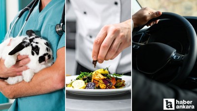 Yenimahalle Belediyesinin şirketine aşçı, veteriner, şoför alınacak!