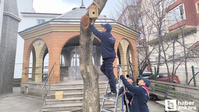 Akyurt'ta beslenme ve barınma sorunu yaşayan kuşlar için harekete geçildi