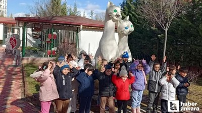 Pursaklar'da minikler kedi evlerini ziyaret etti