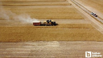 Çiftçilere 150 milyon TL'ye yakın destekleme ödemesi yapılacak!