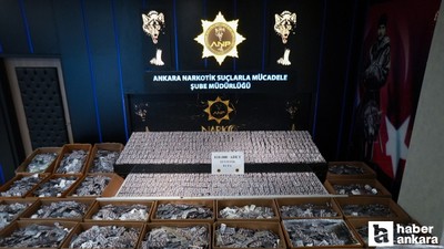 Narkotik ekiplerinden Yenimahalle ve Altındağ'a operasyon: 2 tutuklama