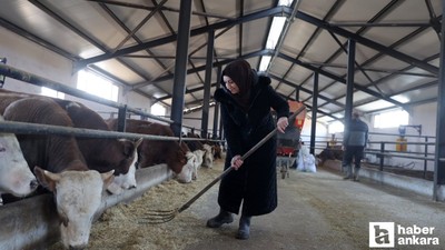 Çubuk'ta kadın girişimci hayvancılıkta kendi işini kurdu
