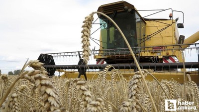 Çiftçilere tarımsal destekleme ödemesi hesaplara yatırılacak