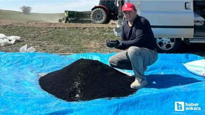 Beypazarı'nda çiftçiler çörek otu ekimine başladılar