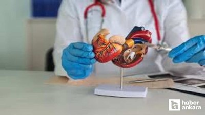 Damar Cerrahisi'nde Gri Alanlar toplantısı Başkent'te düzenlendi