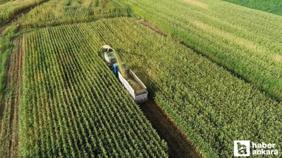 TÜİK, şubat ayı tarım ÜFE verilerini açıkladı