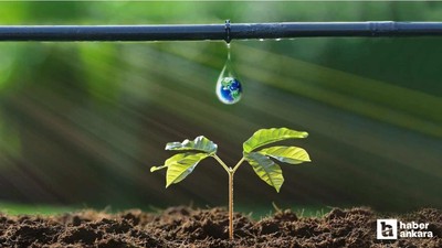 Ankara Büyükşehir Belediyesi'nden üreticilere yüzde 50 hibeli destek